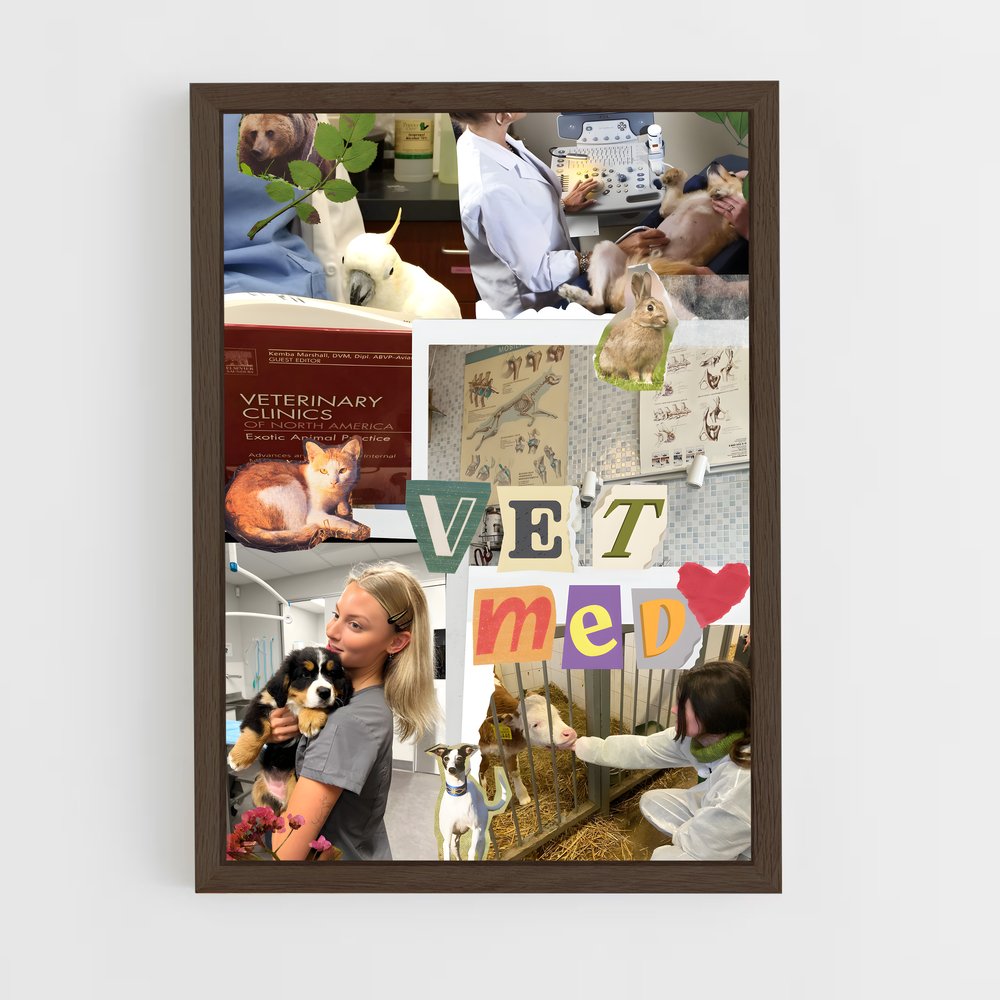 ap-veterinarian-4 cadre Bois foncé