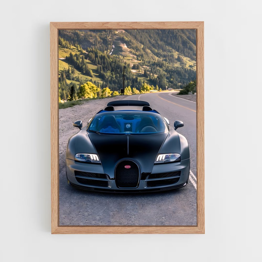 ap-veyron grand sport-2 cadre Bois clair