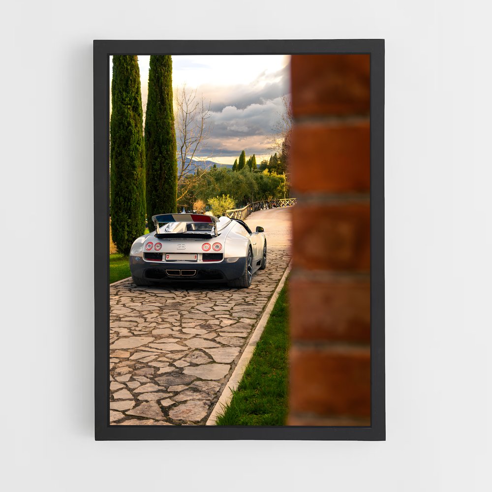 ap-veyron grand sport-6 cadre Noir