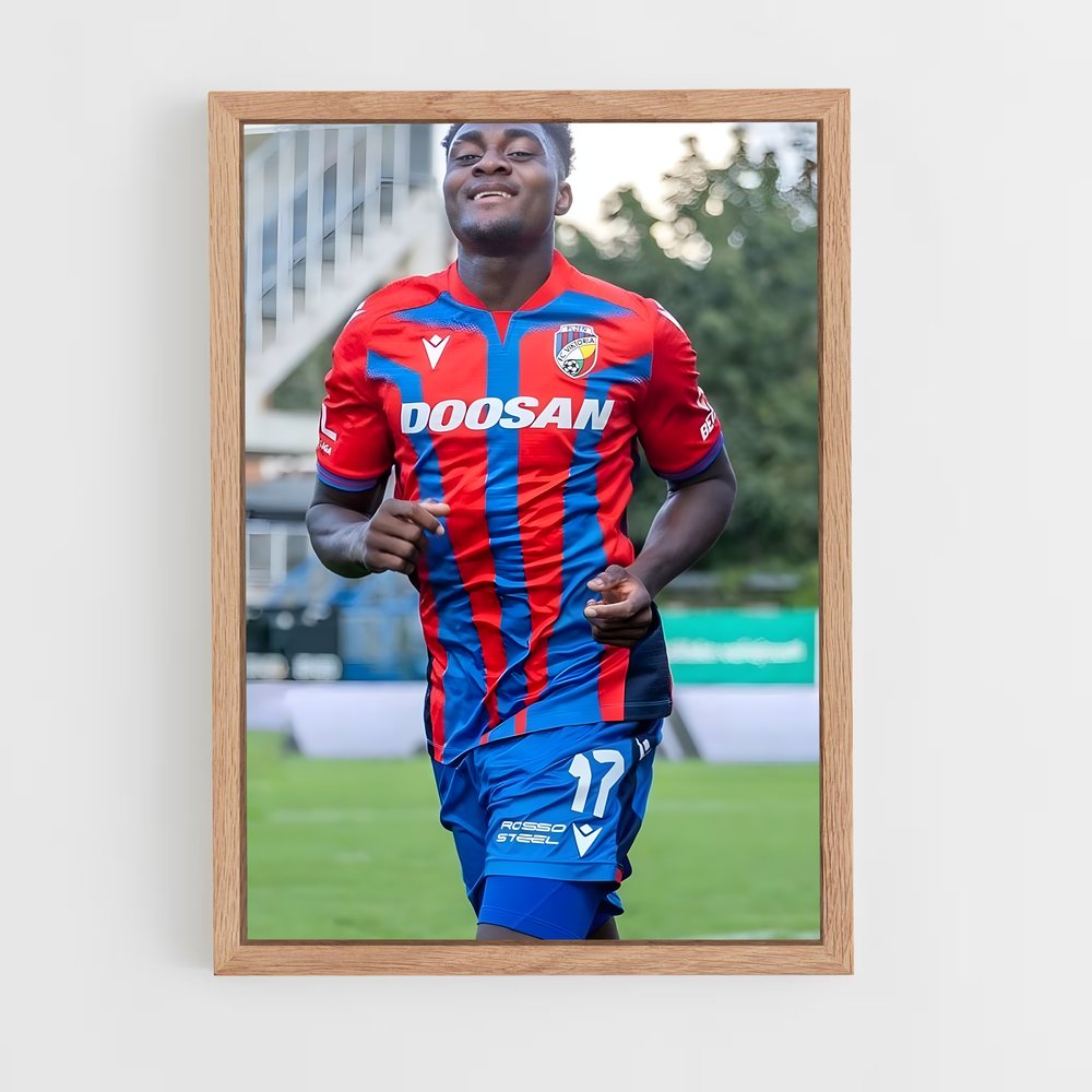 ap-viktoria plzen-5 cadre Bois clair