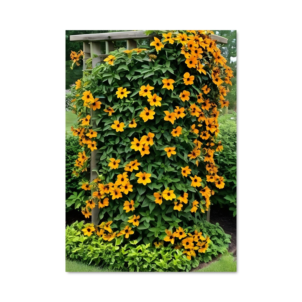 Poster Virginia creeper 97085