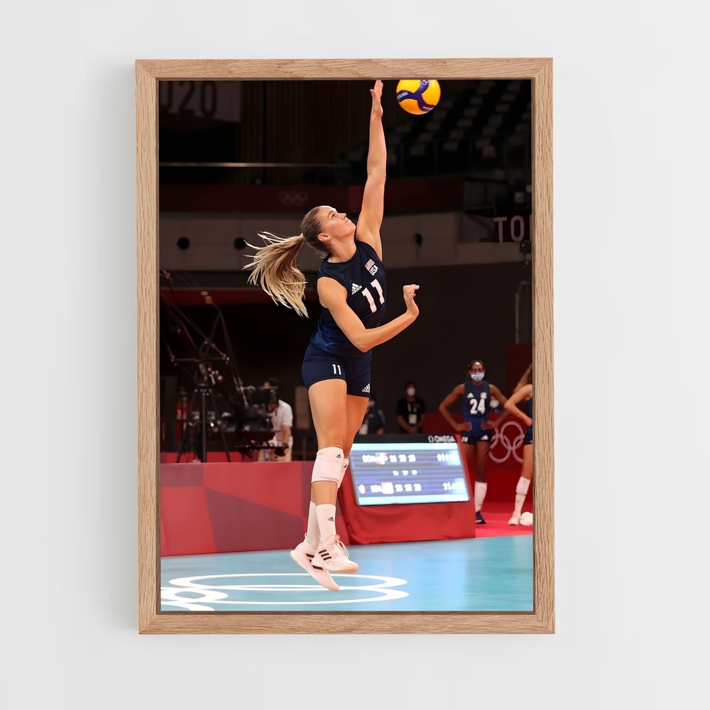 ap-volleyball world championships-4 cadre Bois clair