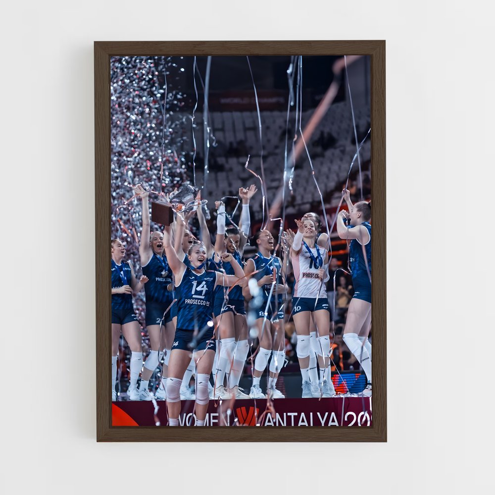 ap-volleyball world cup-3 cadre Bois foncé