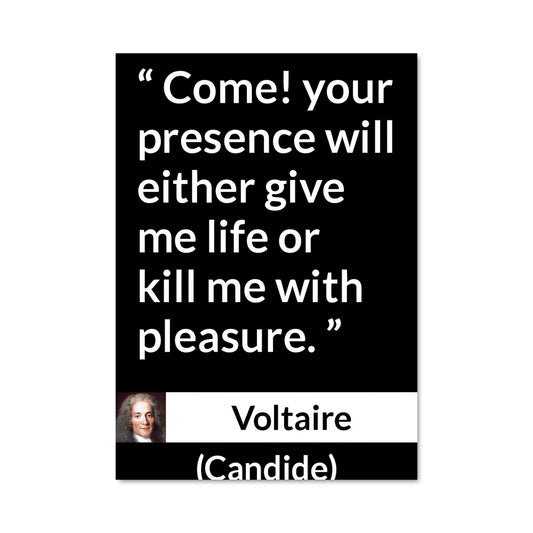 Poster Voltaire 13579