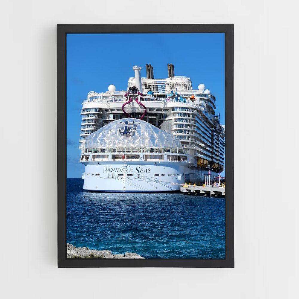 ap-voyager of the seas-5 cadre Noir
