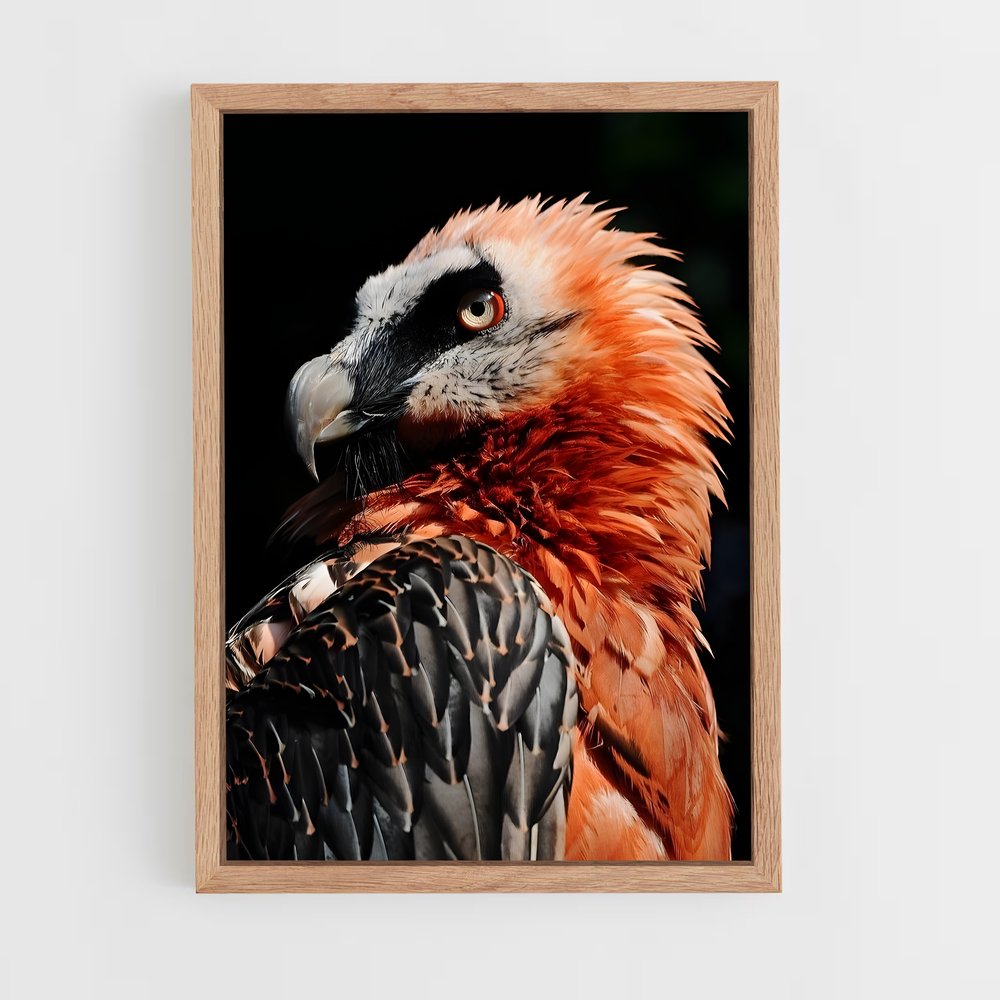 ap-vulture-1 cadre Bois clair