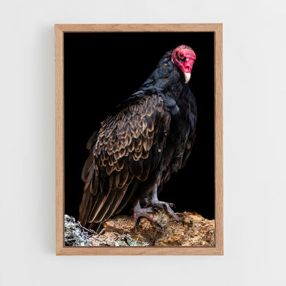 ap-vulture-3 cadre Bois clair