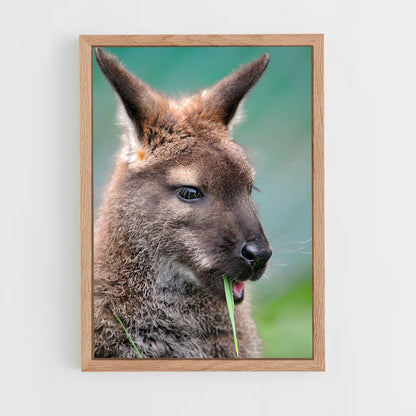 ap-wallaby-3 cadre Bois clair