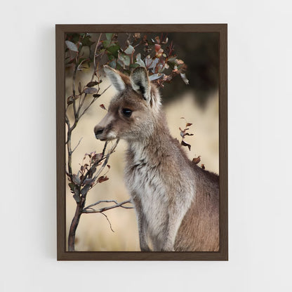 ap-wallaby-4 cadre Bois foncé
