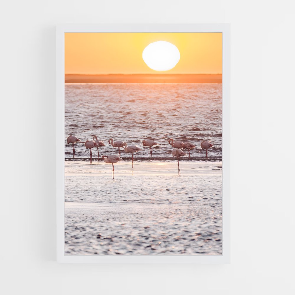 ap-walvis bay-7 cadre Blanc