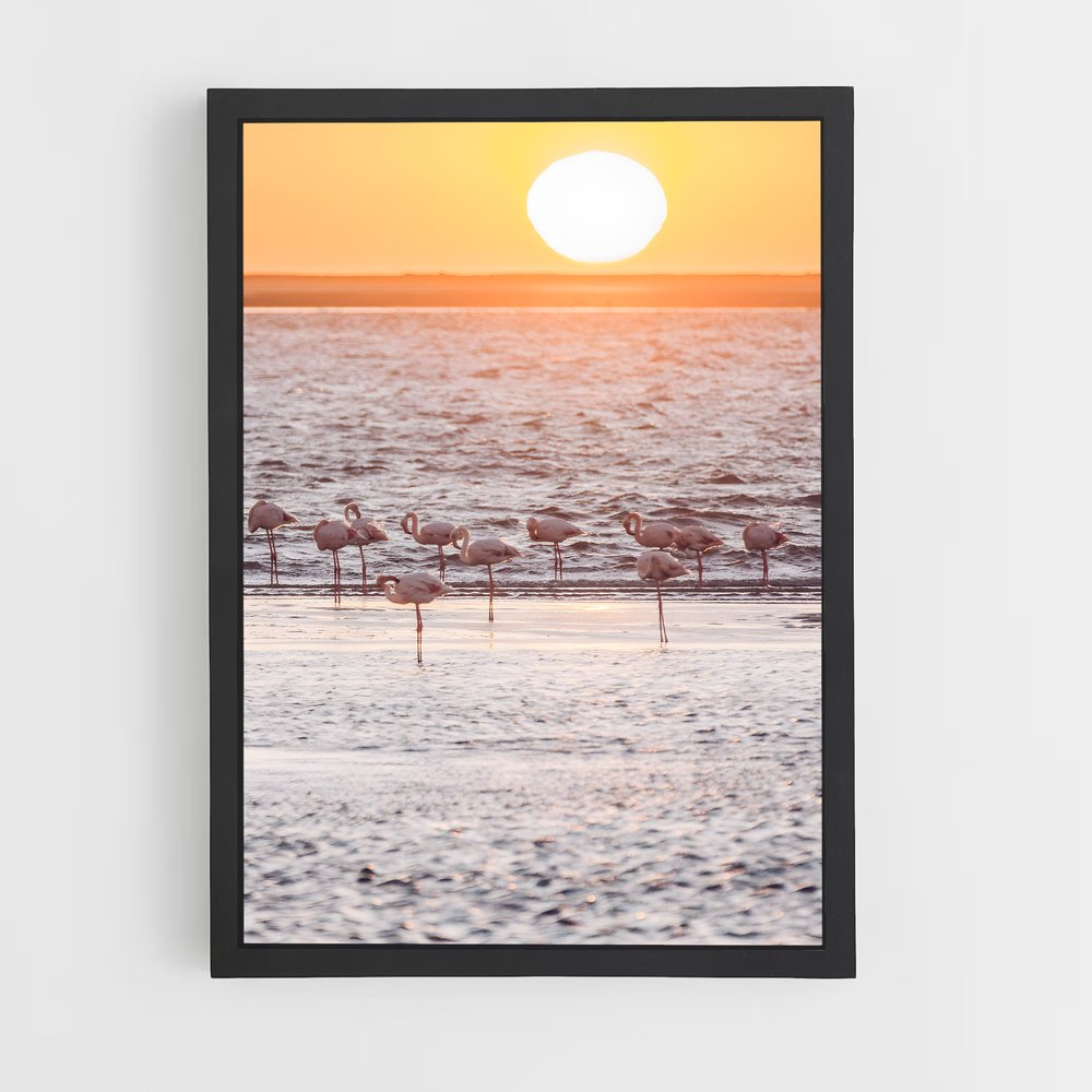 ap-walvis bay-7 cadre Noir