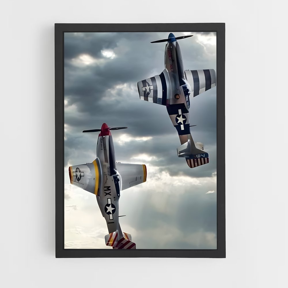 ap-warbirds-3 cadre Noir