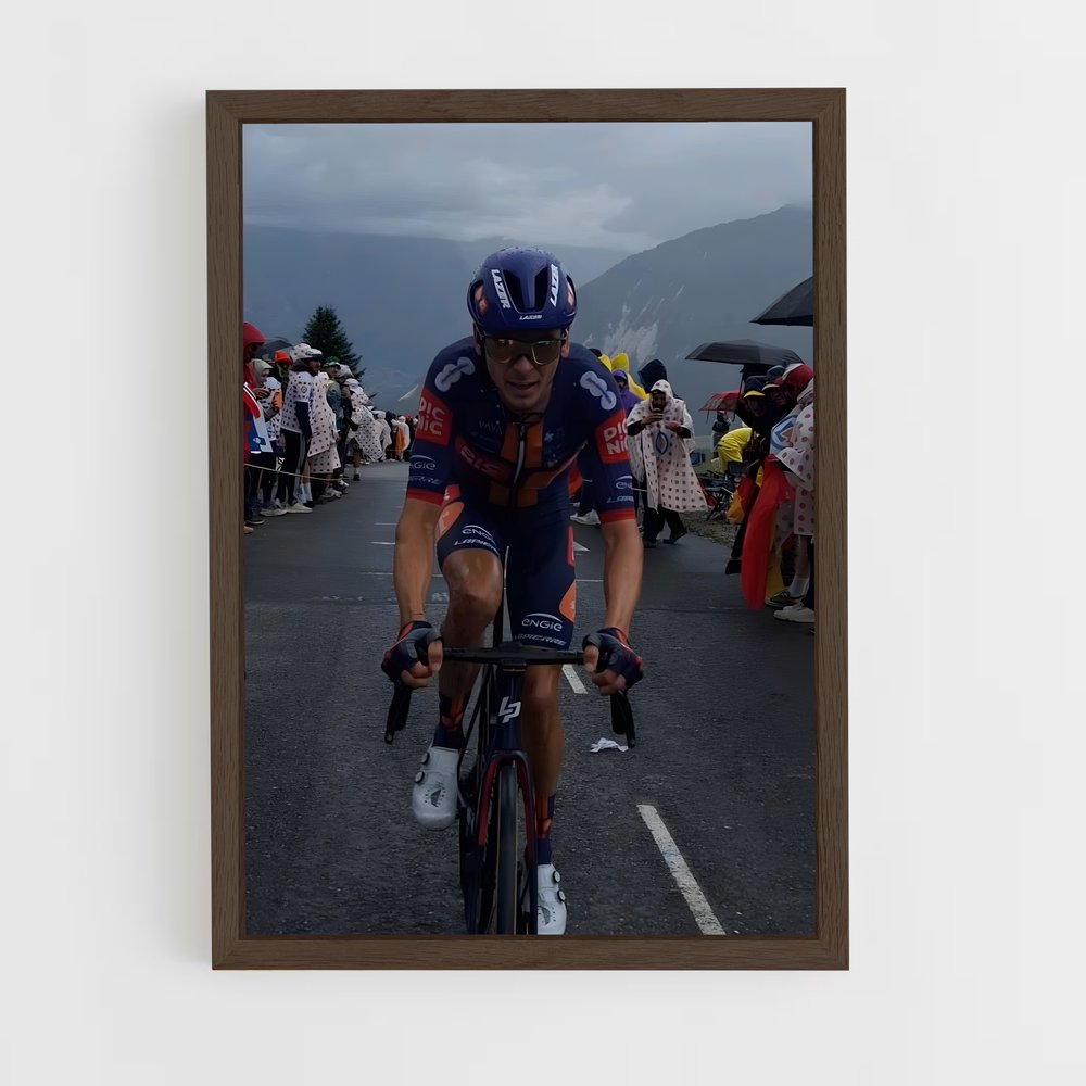 ap-warren barguil-1 cadre Bois foncé
