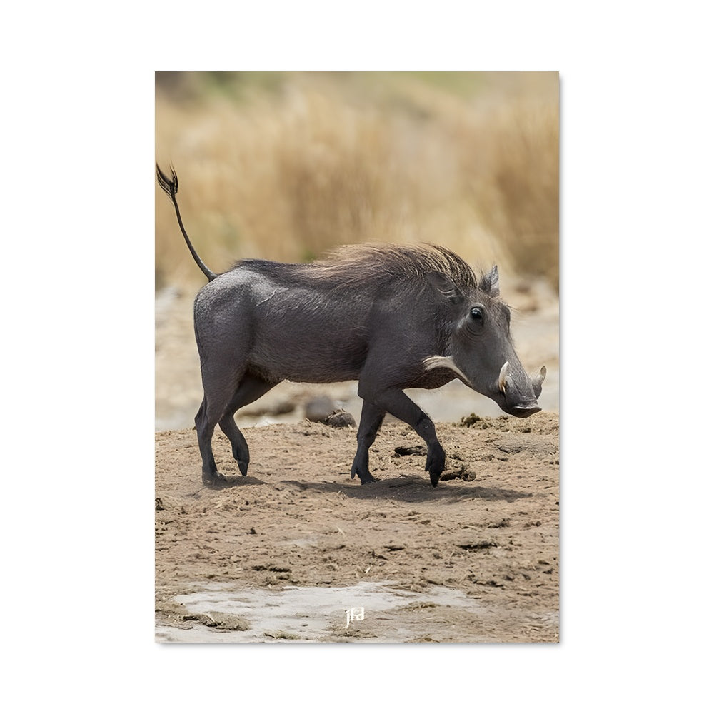 Poster Trajectoire de Boue