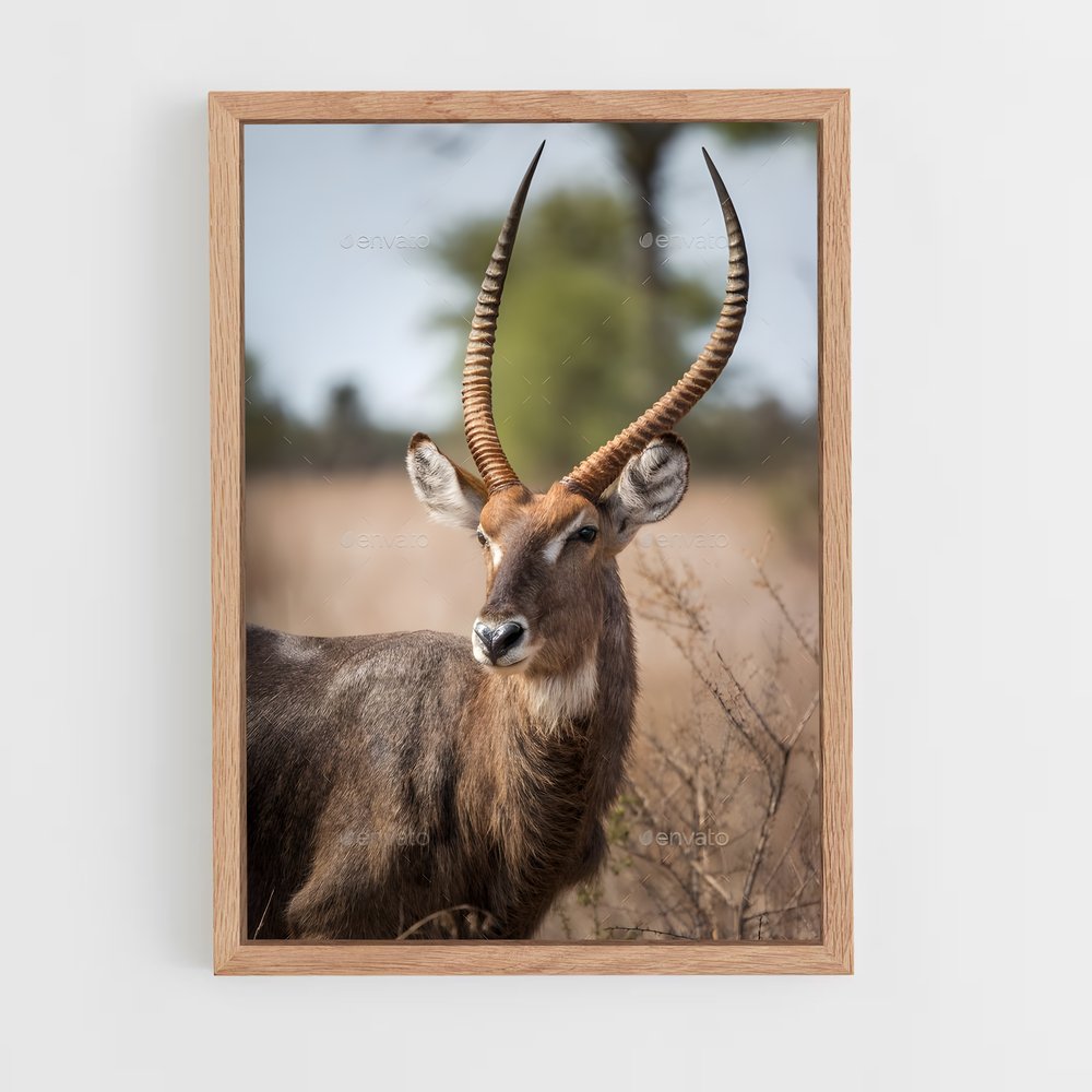 ap-waterbuck-1 cadre Bois clair