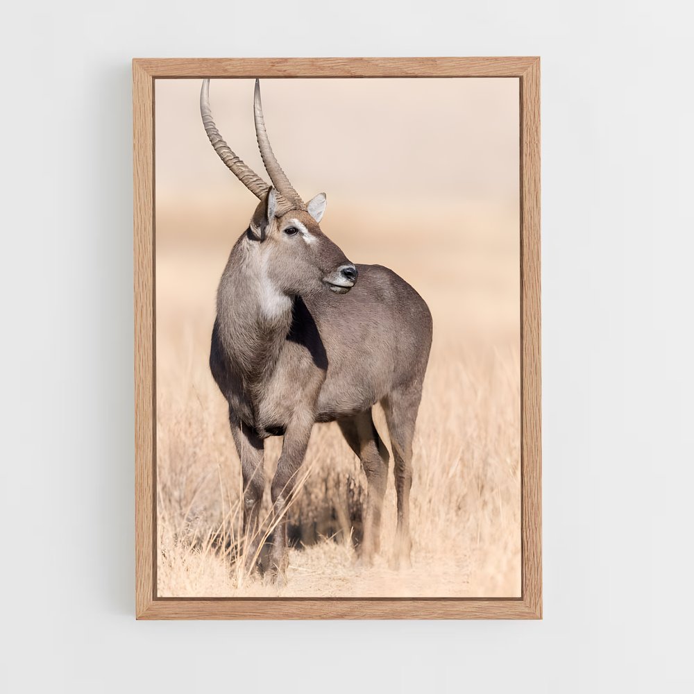 ap-waterbuck-5 cadre Bois clair