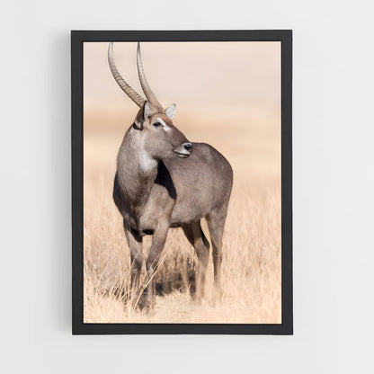 ap-waterbuck-5 cadre Noir