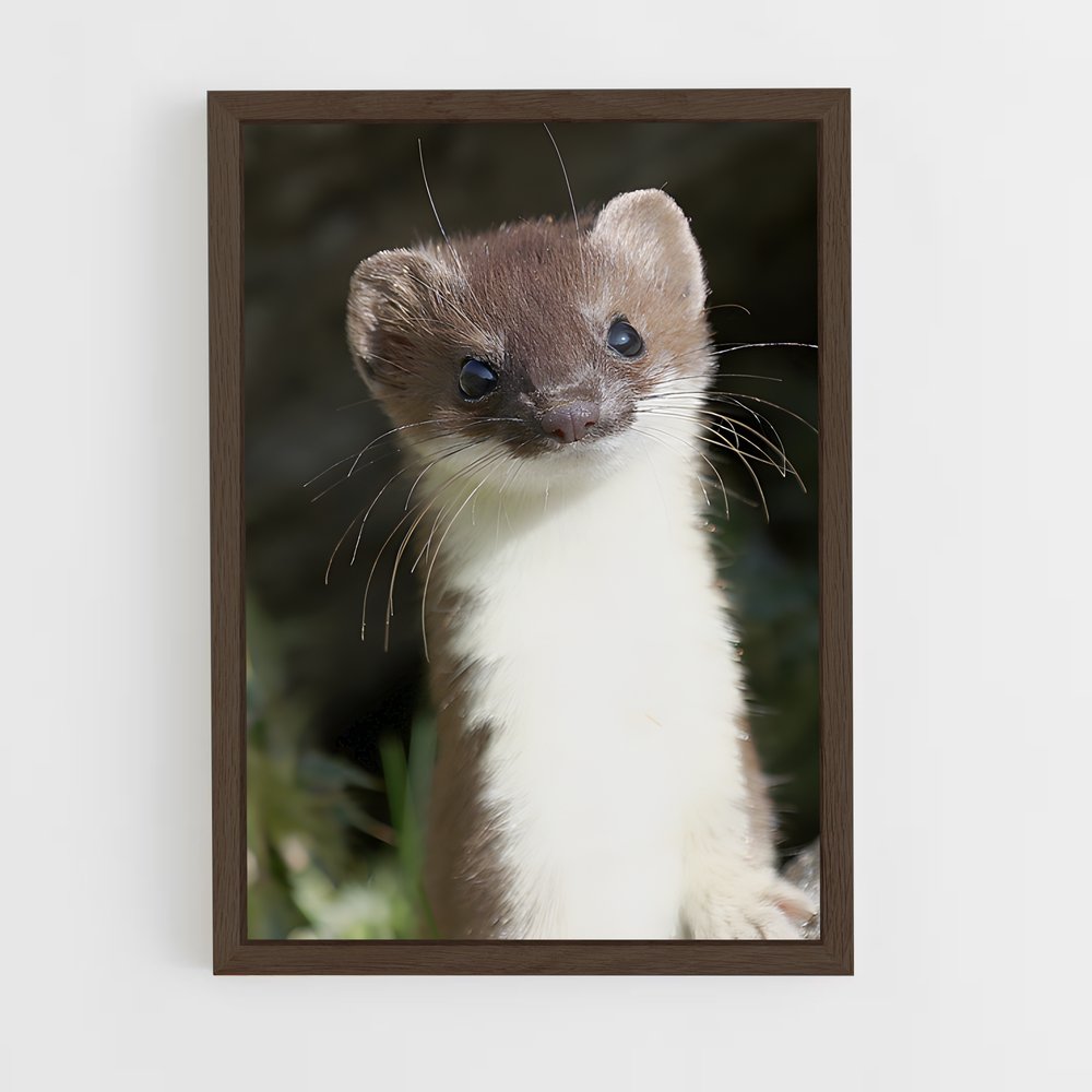 ap-weasel-1 cadre Bois foncé