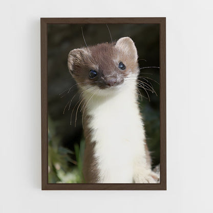 ap-weasel-1 cadre Bois foncé