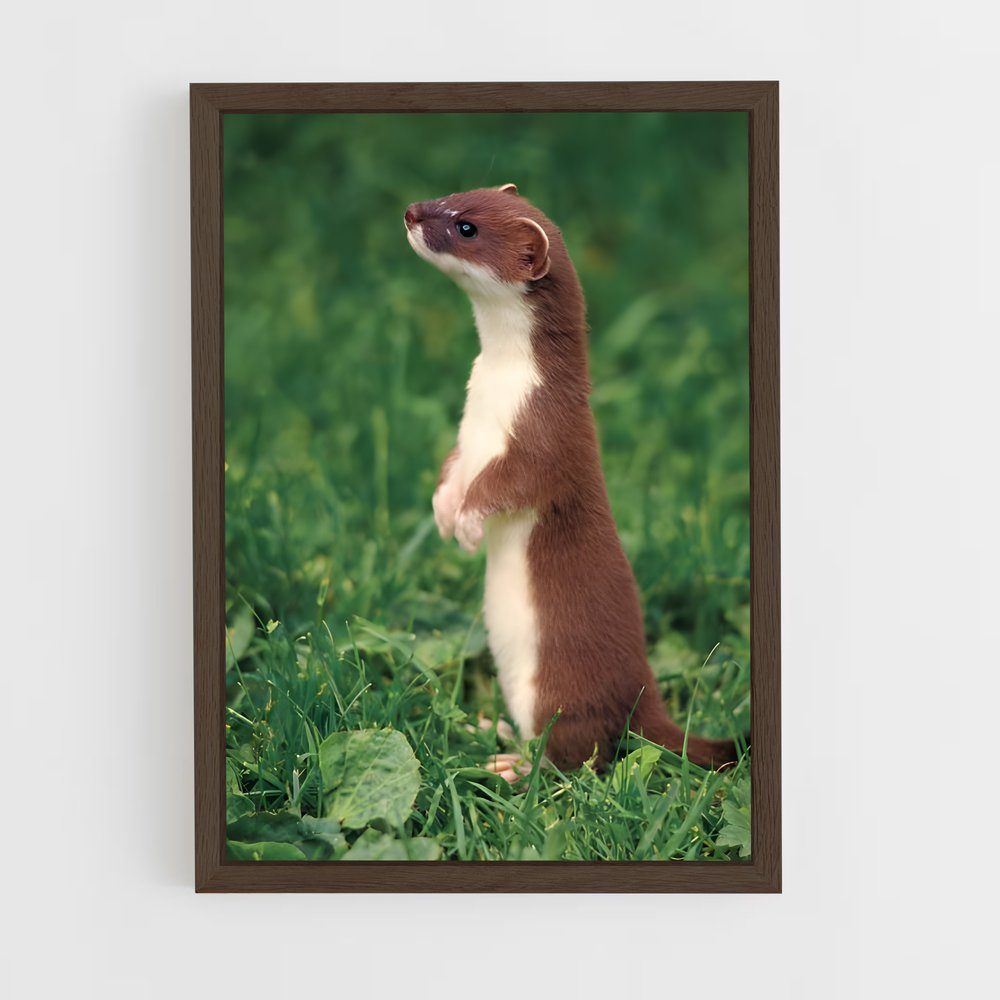 ap-weasel-2 cadre Bois foncé