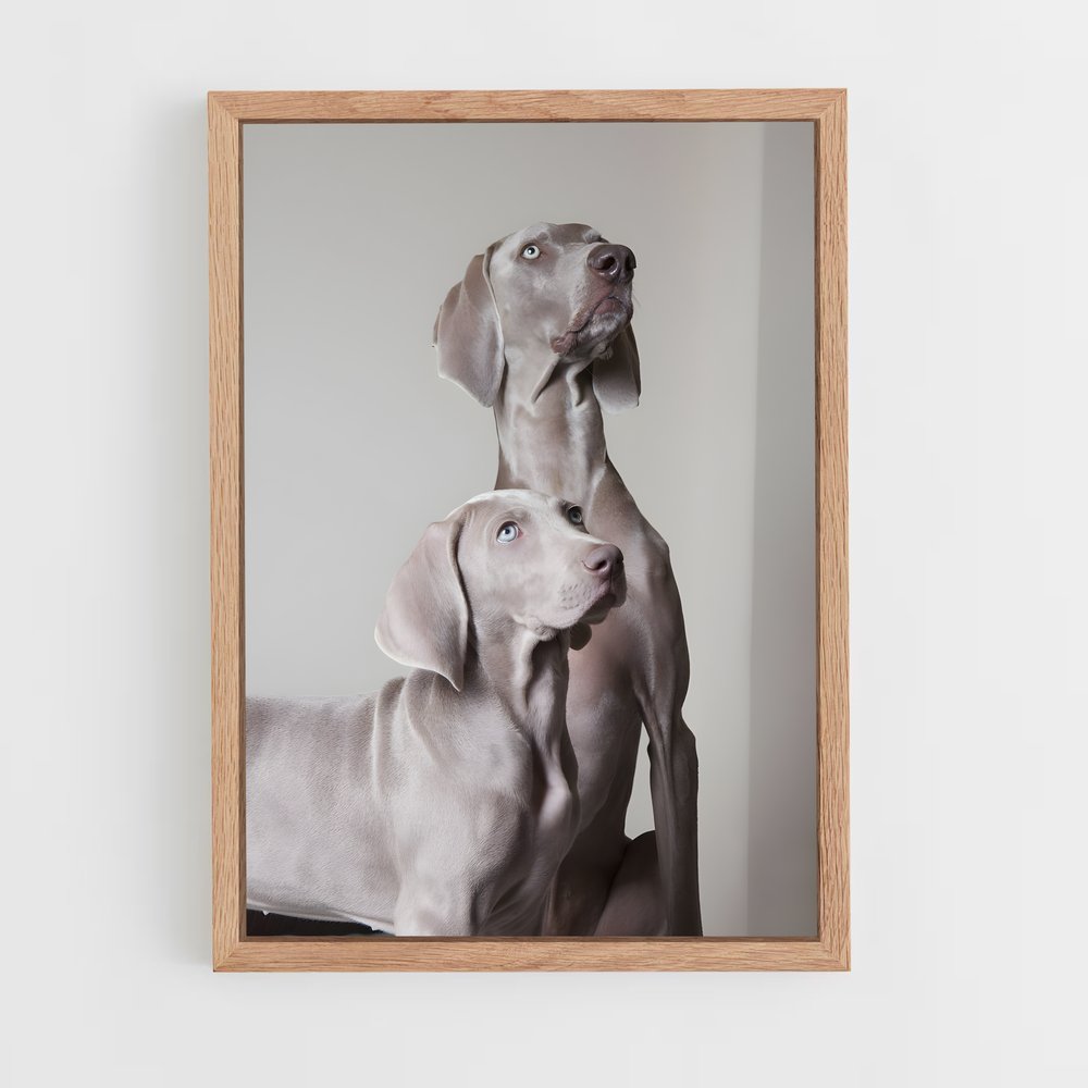 ap-weimaraner-3 cadre Bois clair