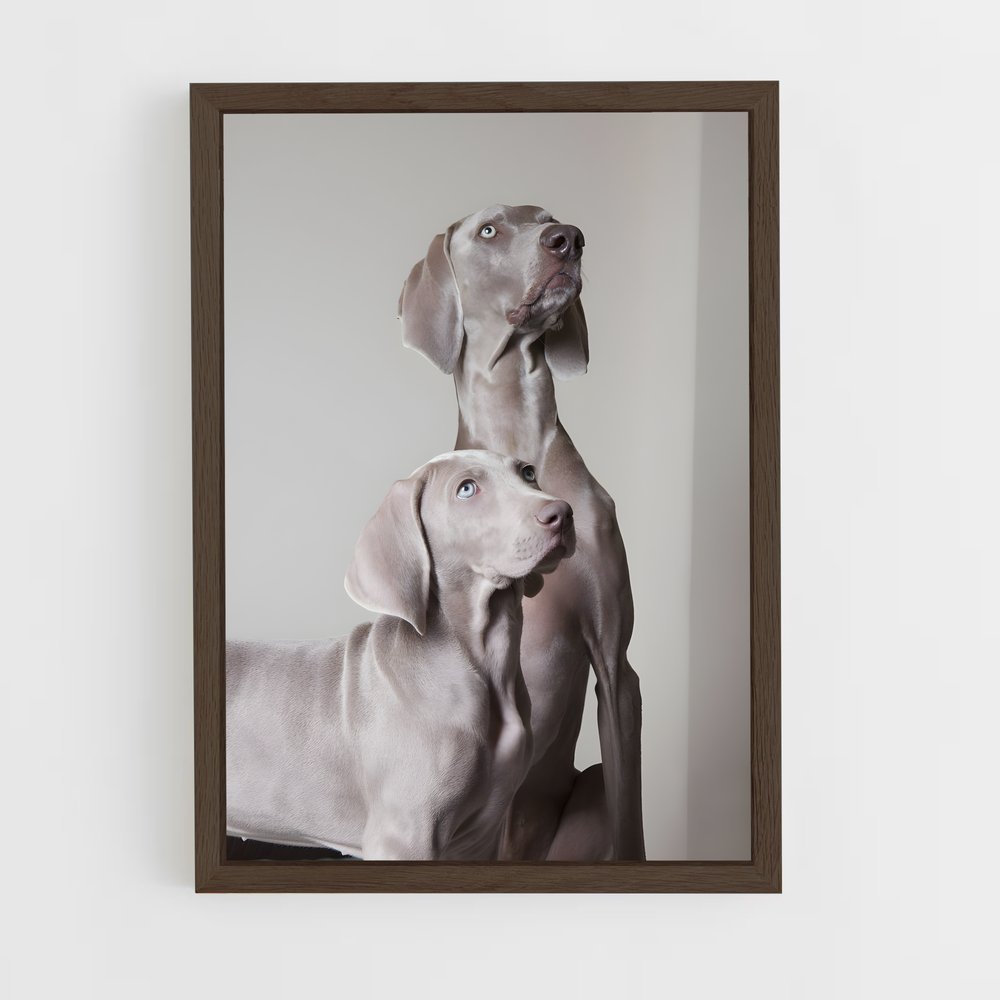 ap-weimaraner-3 cadre Bois foncé