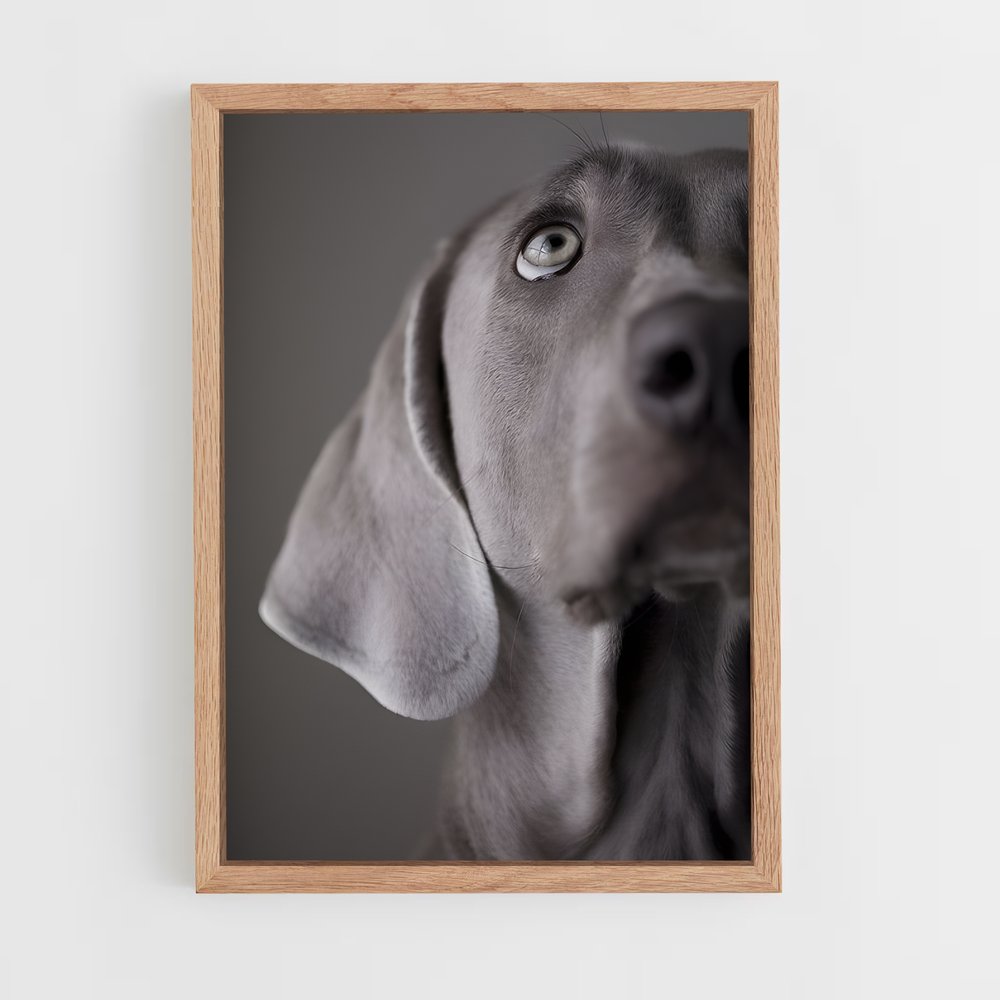 ap-weimaraner-4 cadre Bois clair