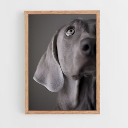 ap-weimaraner-4 cadre Bois clair