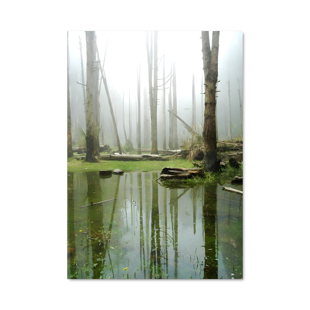 Poster Wetland 96221