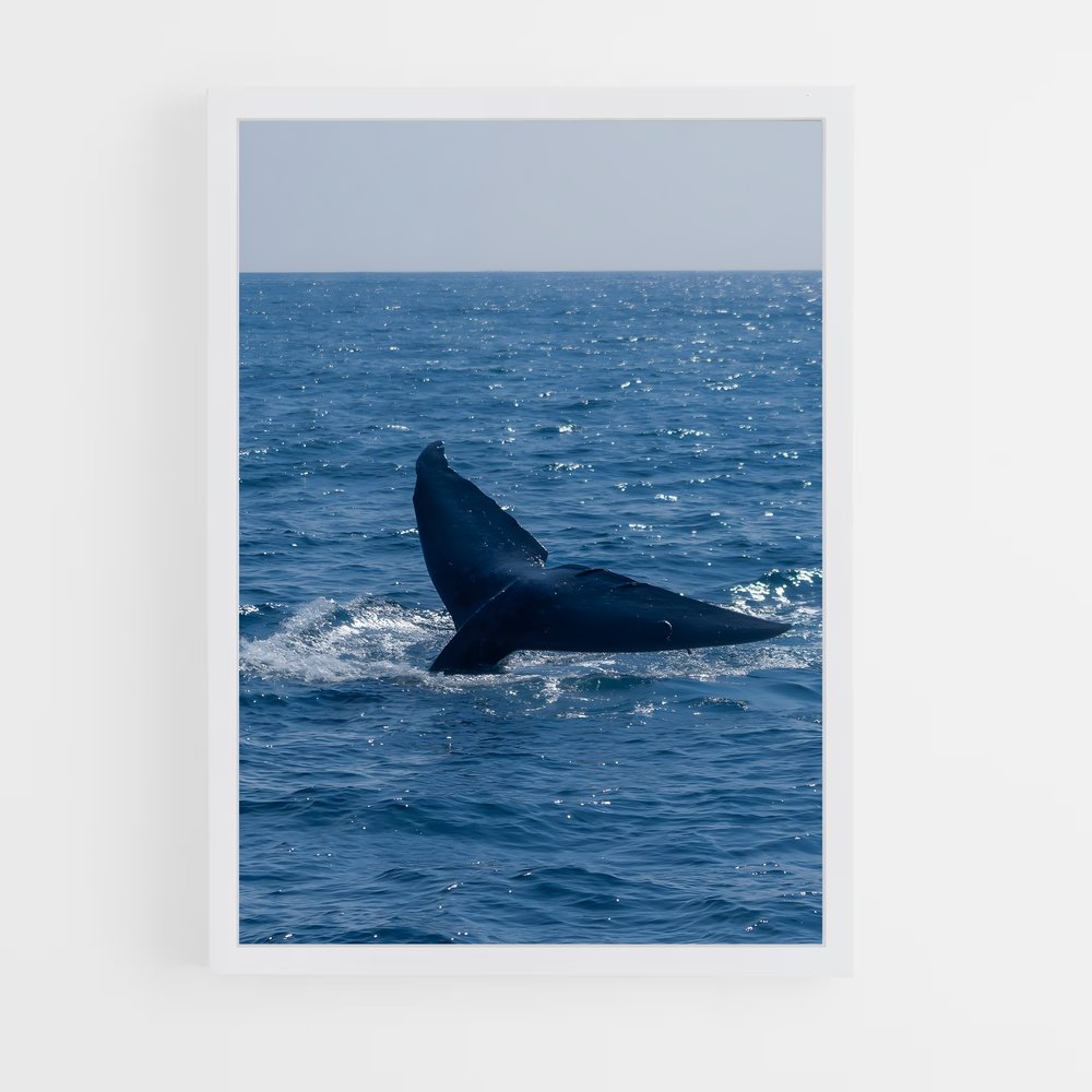 ap-whale-3 cadre Blanc