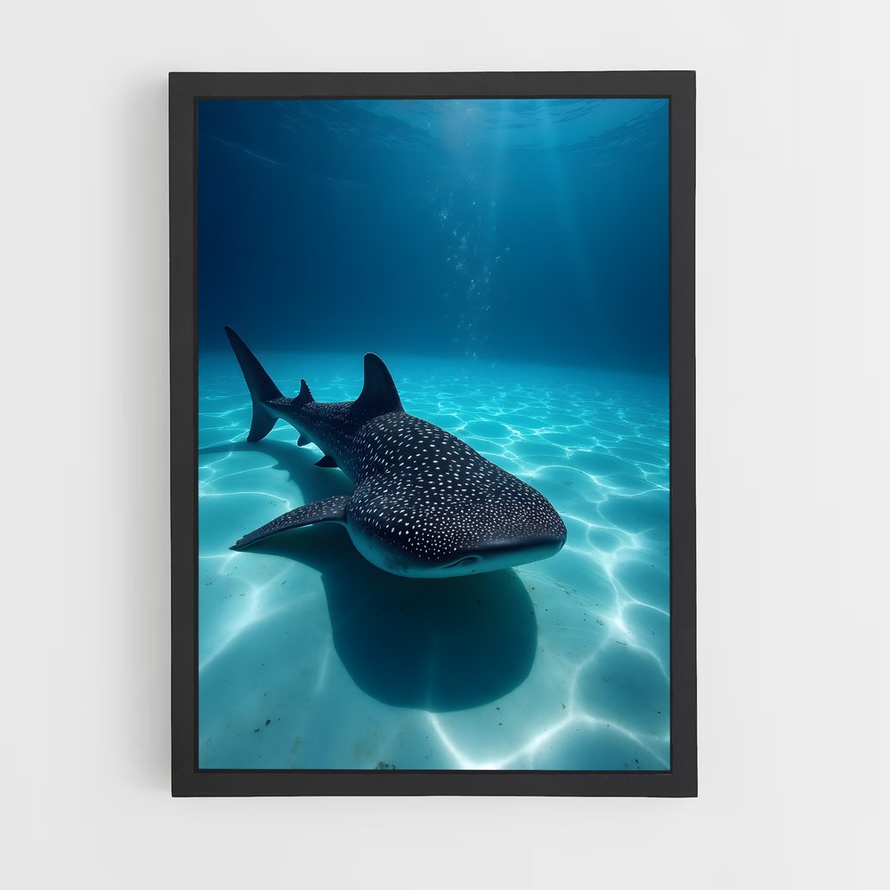 ap-whale shark-2 cadre Noir