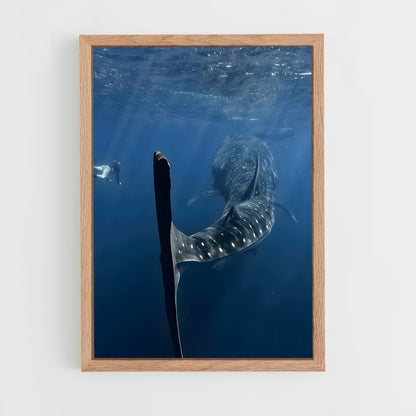 ap-whale shark-7 cadre Bois clair