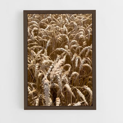 ap-wheat-3 cadre Bois foncé