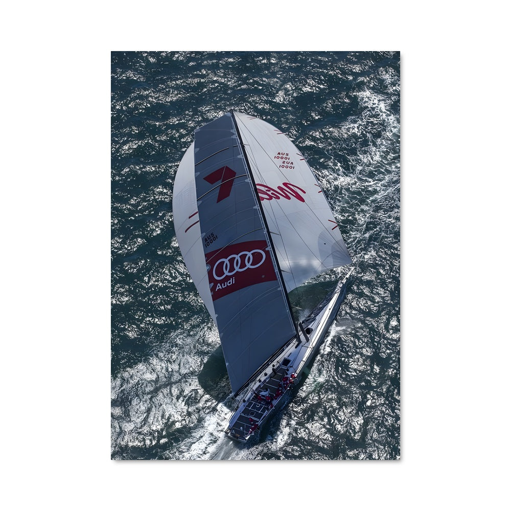 Poster Voiles Sauvages