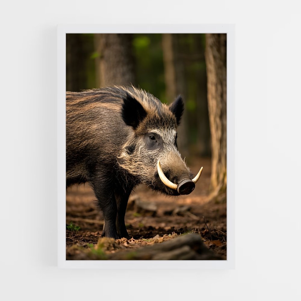 ap-wild boar-1 cadre Blanc