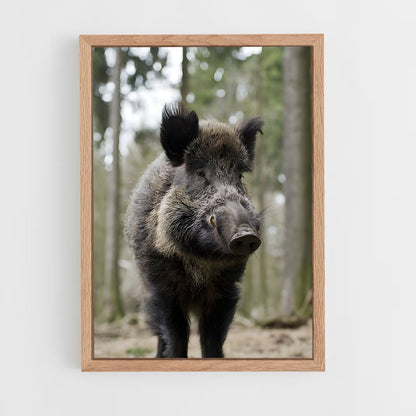 ap-wild boar-7 cadre Bois clair