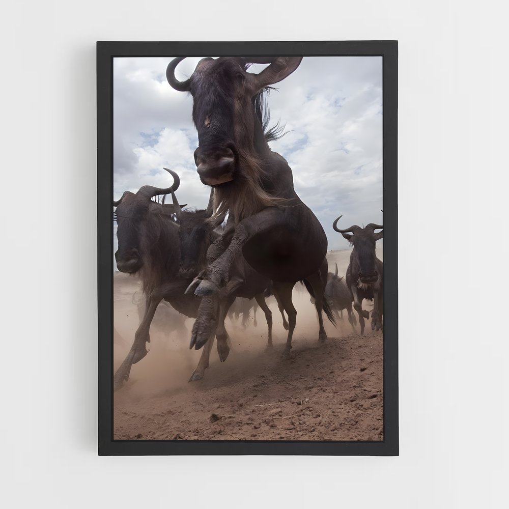 ap-wildebeest-2 cadre Noir
