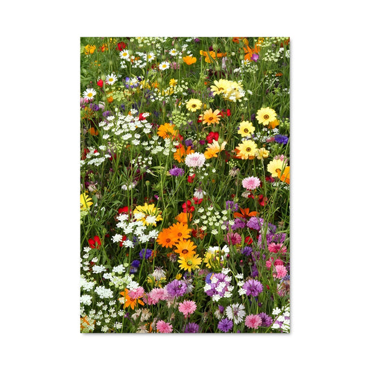 Poster Wildflower field 97426