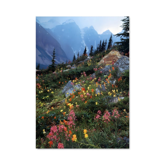 Poster Wildflower field 97408