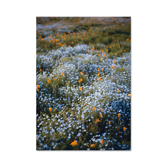 Poster Champ de Fleurs Enchantées