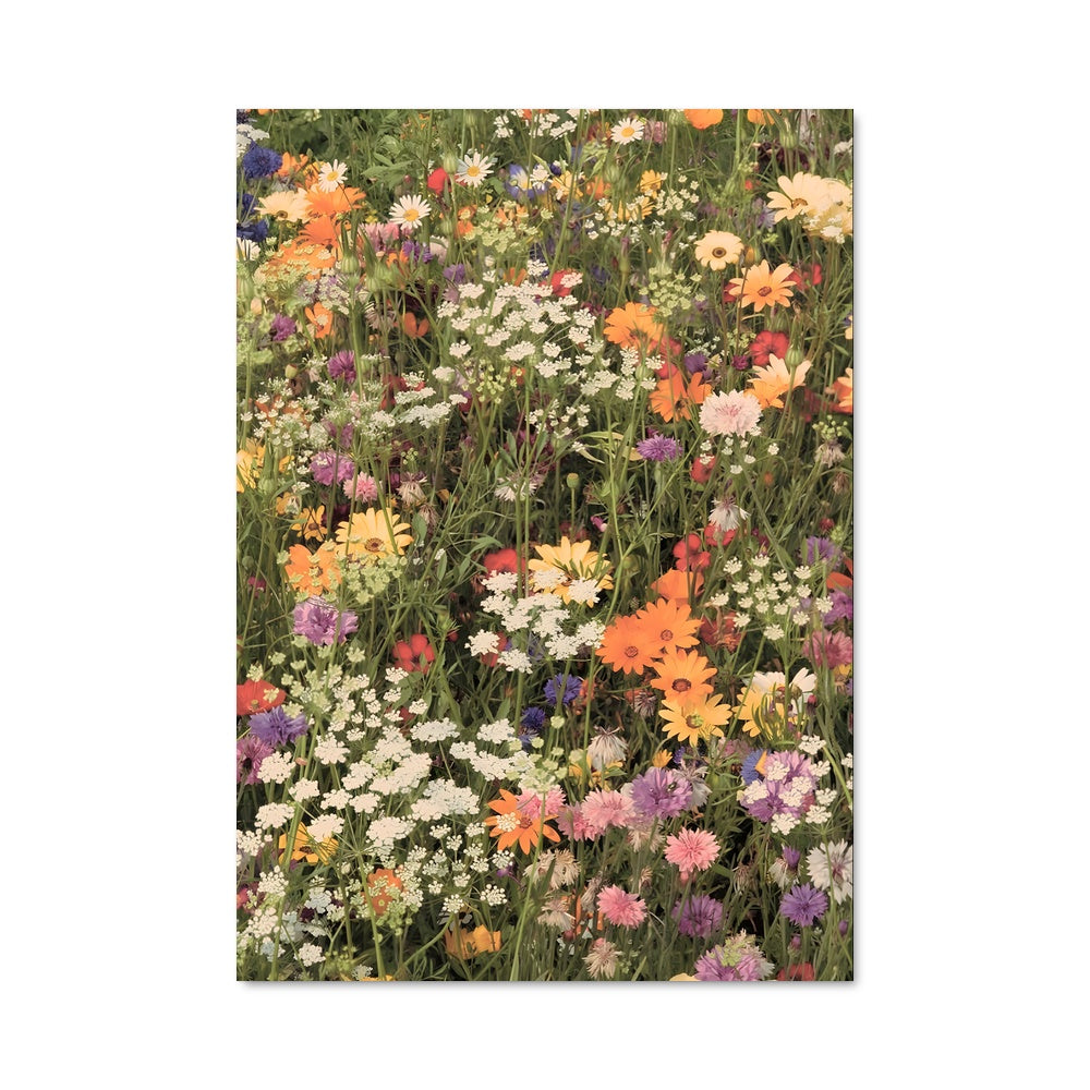 Poster Wildflower field 97428