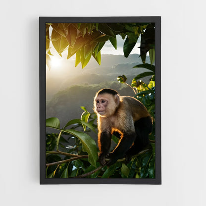 ap-wildlife habitat-1 cadre Noir