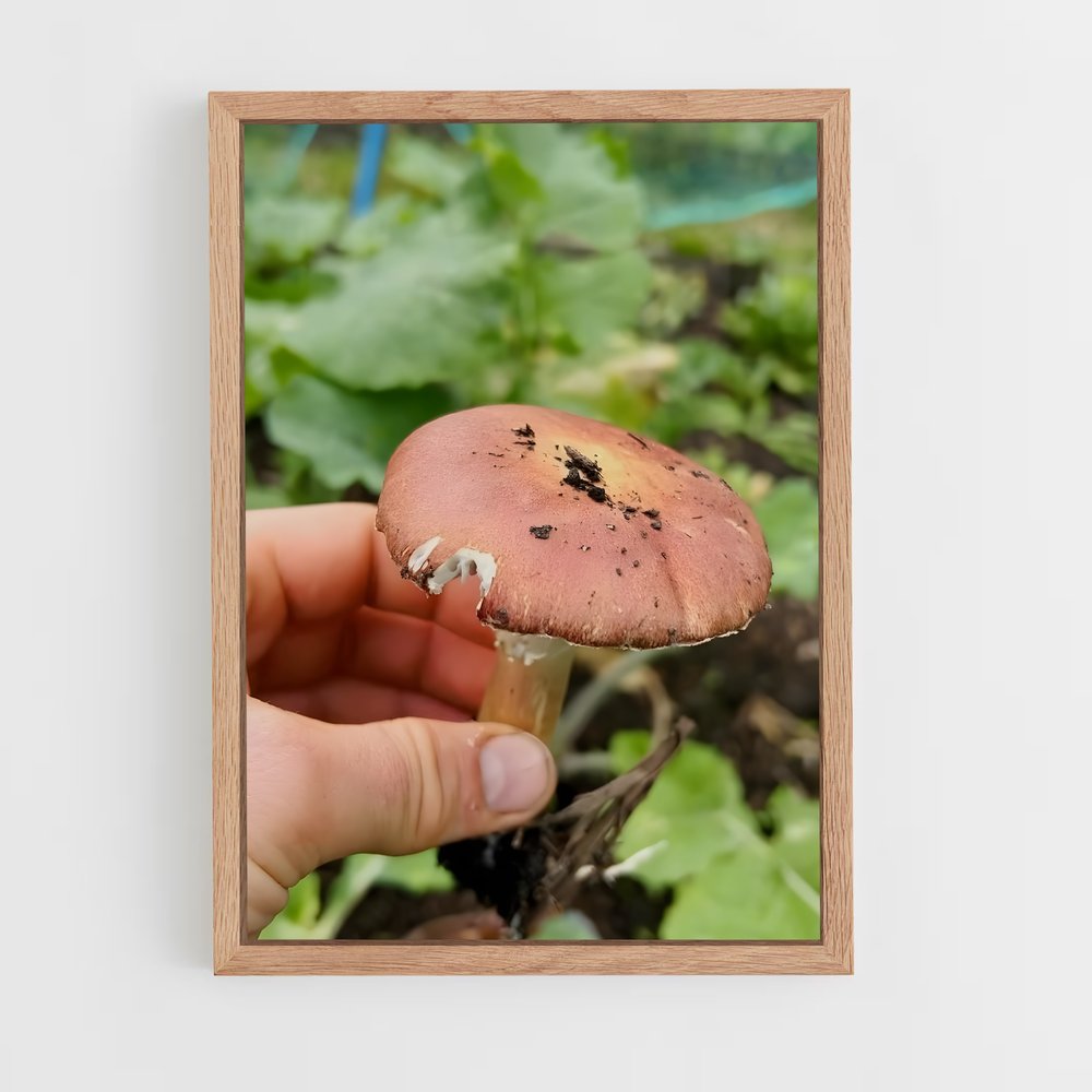 ap-wine cap-1 cadre Bois clair