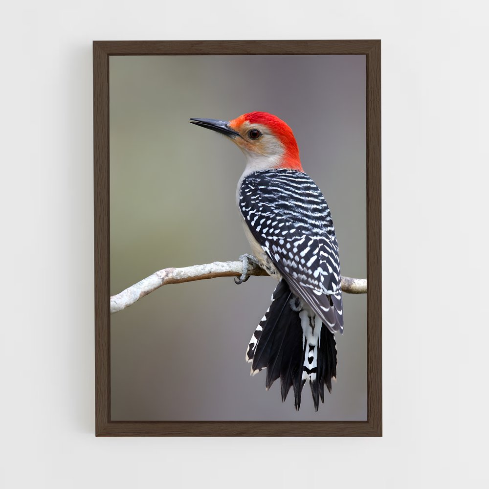 ap-woodpecker-3 cadre Bois foncé