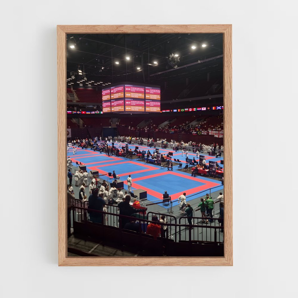 ap-world karate championships-1 cadre Bois clair