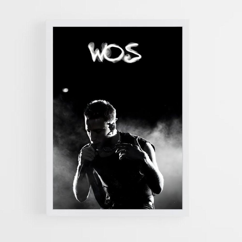 ap-wos-2 cadre Blanc