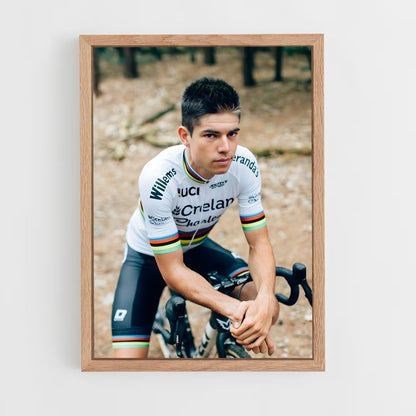 ap-wout van aert-6 cadre Bois clair