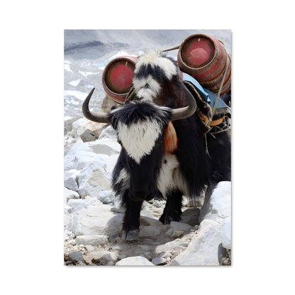 Poster Casque de Chèvre