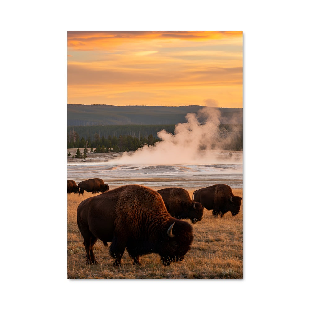 Poster Yellowstone 93361