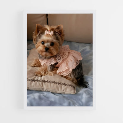 ap-yorkshire terrier-5 cadre Blanc